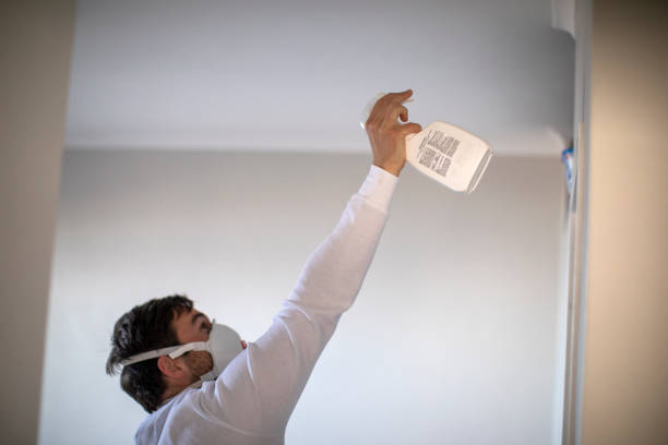 Best Best Mold Removal Companies  in Lakeport, CA