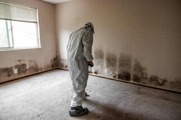 Water Damage Restoration in Lakeport, CA